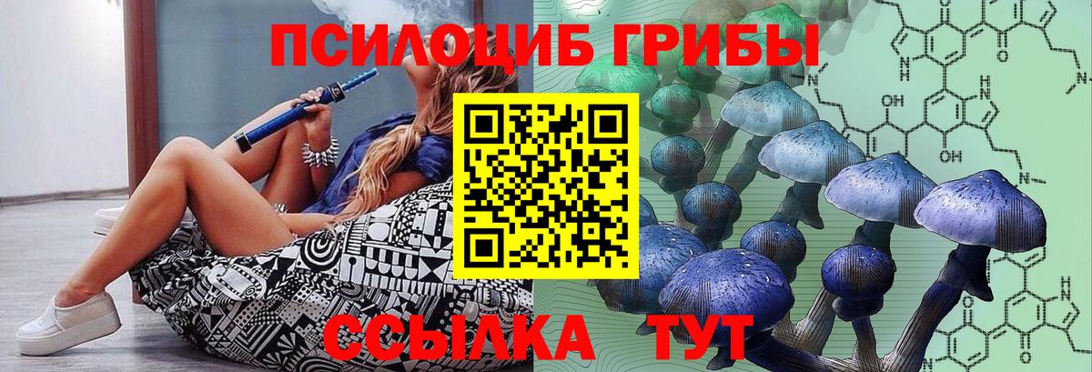 Галлюциногенные грибы GOLDEN TEACHER  Вход с VPN  Хасавюрт 
