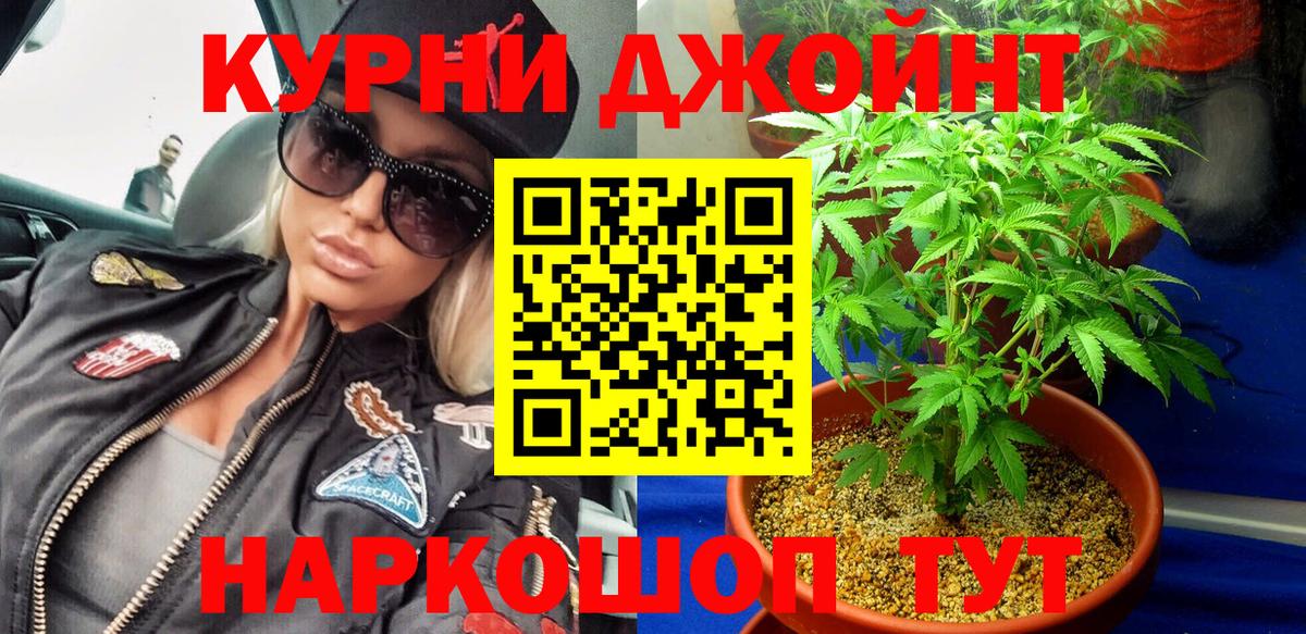 Бошки Шишки MAZAR Хасавюрт